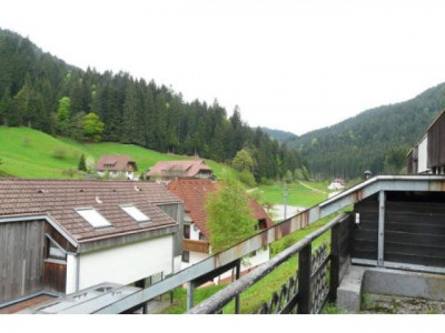 AbacO - Fast geschenkt: 2,5-Zimmerwohnung in Bad Rippoldsau