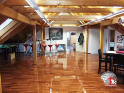 Riesige, exclusive 4 Zi. Loft-Wohnung in Windelsbach OT