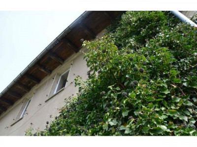 Im Dornröschenschlaf befindliches Gebäude will von begabtem Handwerker wachgeküsst werden !