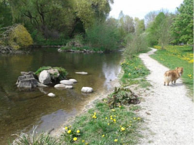 Natur pur: Pfiffiger Gartentraum für Individualisten!