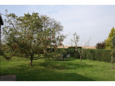 Super gepflegtes Reihenhaus in Klein Escherde