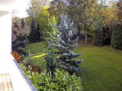 Sonniges 1-Zimmer-Appartement mit Balkon in Bad Neuenahr