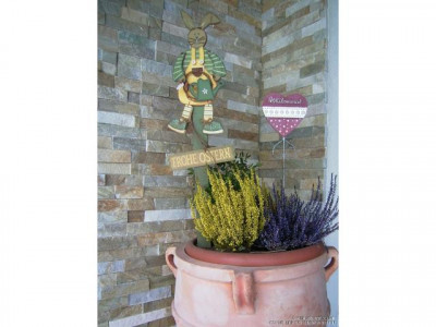 BESICHTIGUNG am FREITAG, 8. Mai um 16:30 Uhr! JETZT ANMELDEN & ADRESSE ERFAHREN!