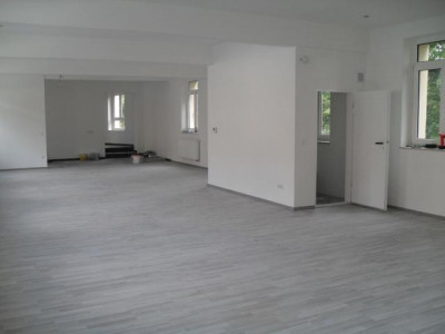 Wohnen/Arbeiten - LOFT Ausbau NEU - (Dach-Terrasse)