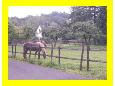 Waldrandlage in Frechen-KleinkönigsdorfGeringe Maklerprovision !!!