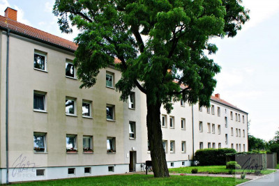 1 Raumwohnung mit Tageslichtbad und Wanne **Hier gibt es den Flachbild TV gleich dazu**