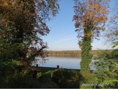 Wassernähe +++ frisch sanierte 3-Zimmer-Wohnung in Potsdam