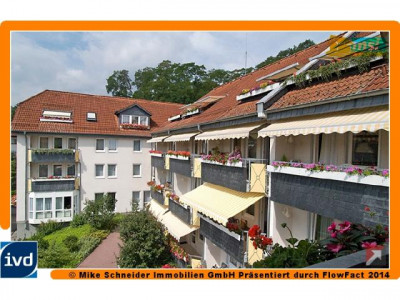 HEUTE SÄEN MORGEN ERNTEN! KEINE KÄUFERPROVISION!