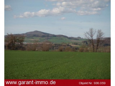 Moderne 4 Zimmer-Wohnung mit Wintergarten und Garten