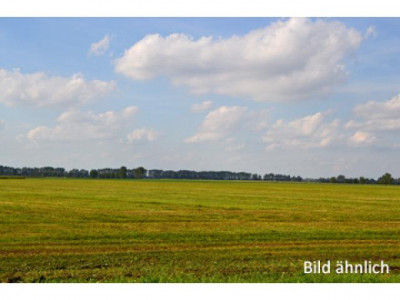 IHR-IMMOBILIENCENTER.DE  -  Ca. 7 ha Agrarfl. bei Rudolstadt (Th.)