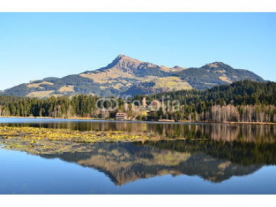 Austria-Ellmau-Mietwohnung-ruhige Lage-Schwimmbadnähe-Sonnenseite